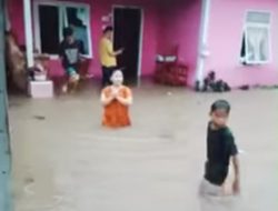 Puluhan Hewan Ternak dan Tiga Rumah Hanyut Terbawa Banjir di Desa Mekkatta