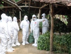 Koordinasi Pengendalian dan Pencegahan PMK, Mentan SYL Sambangi Lampung