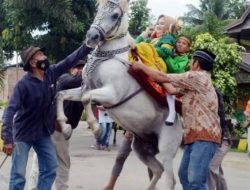 Pemkab Polman Upayakan Sayyang Pattuqduq Jadi Warisan Budaya Dunia