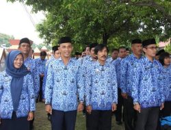 ASN di Majene Menjerit, TPP Lima Bulan Belum Dibayarkan