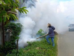 Temukan Kasus Demam Berdarah, Petugas Dinkes Mamuju Lakukan Fogging