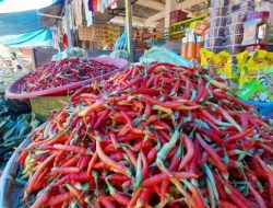 Harga Cabai dan Tomat Melonjak Tinggi di Pasar Baru Mamuju