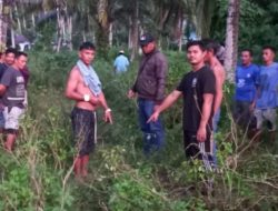 Teguran Tak Digubris, Pria di Pasangkayu Bacok Tetangganya