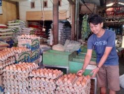 Bulog Mamuju Bakal Gelar Pasar Murah Khusus Telur&nbsp;Ayam&nbsp;Ras