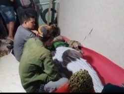 Diduga Depresi Berat, Pemuda di Mamuju Nekat Gantung Diri