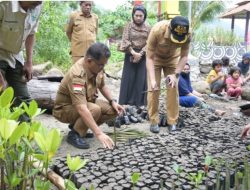 Satu Juta Lebih Bibit Mangrove Bakal Ditanam di Pesisir Sulbar