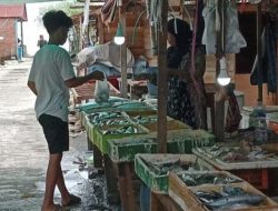 Pedagang Ikan di Pasangkayu Tolak Dipindahkan ke Pasar