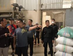 Sulbar Jadi Penyangga Pangan Ibu Kota Negara