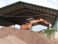 Ekspor Cangkang Sawit Sulbar ke Jepang Capai Rp 65,9 Miliar