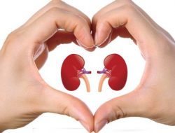 Sayang Ginjal, Hindari 5 Jenis Makanan Ini!