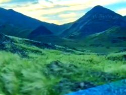 Viral Pegunungan Makkah Mendadak Hijau